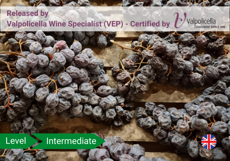 Valpolicella Explorer course