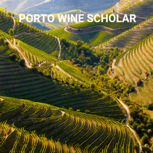 Porto Wine Scholar corso online