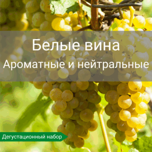 Белые вина дегустационный набор