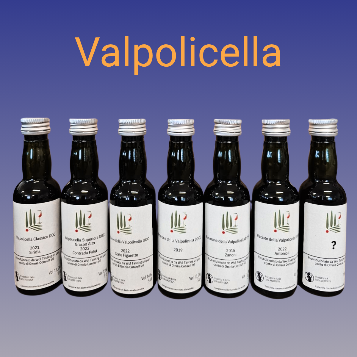 Valpolicella Wines tasting pack with webinar