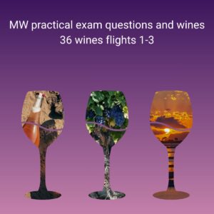 Tasting Pack MW-style of 36 wines