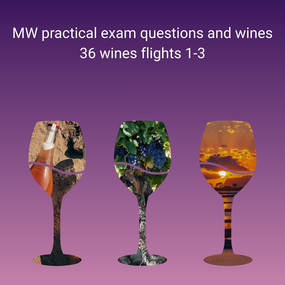 Tasting Pack MW-style of 36 wines